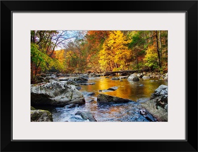 Vibrant Hues Of Autumn, New Jersey