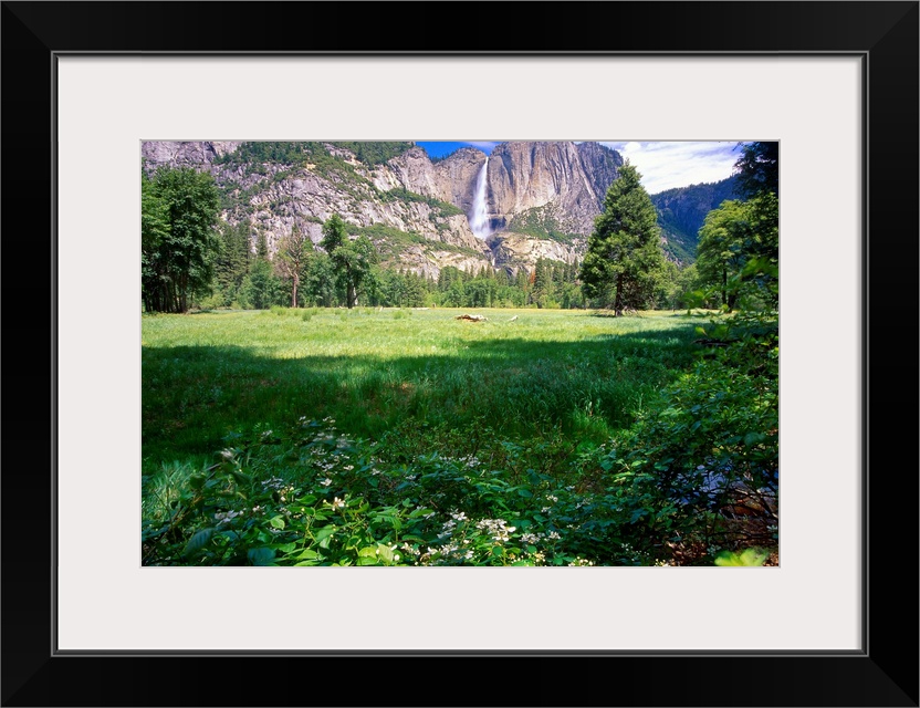 View of the Yosemite Valley and Falls, California. An open clearing surrounded by evergreen trees and rocky cliffs, with s...