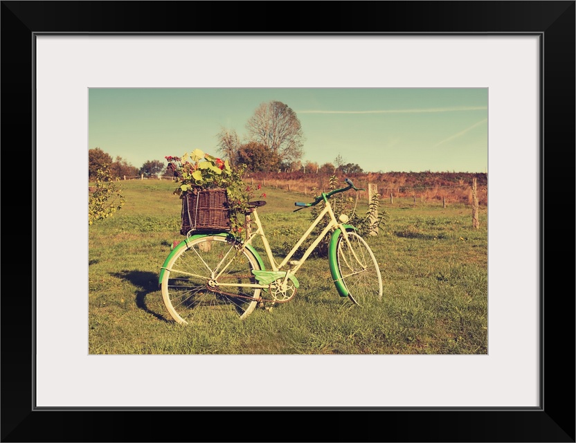 A photograph of a vintage green and white bicycle standing in a field.