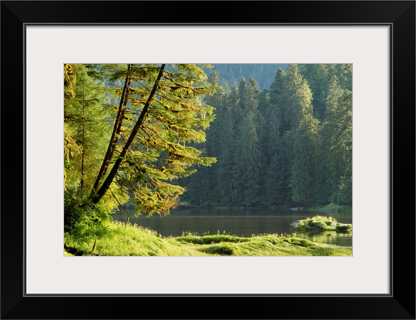 Lake and temperate rainforest, Tongass National Forest, Alaska