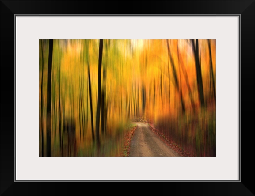 A thin path is the only part of the photograph that appears in focus. The forest and trees surrounding it are blurred.