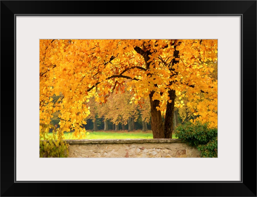 Fine art photograph of a tree with bright yellow leaves in a forest.