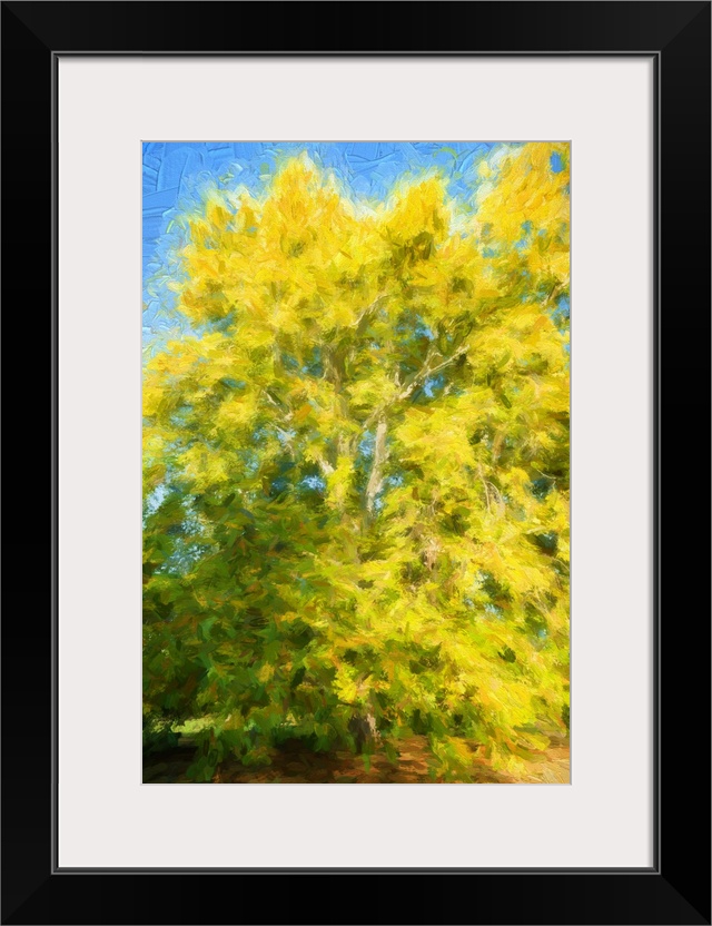 Yellow tree with expressionist photo or painterly effect