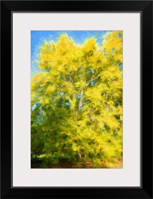 Yellow Tree