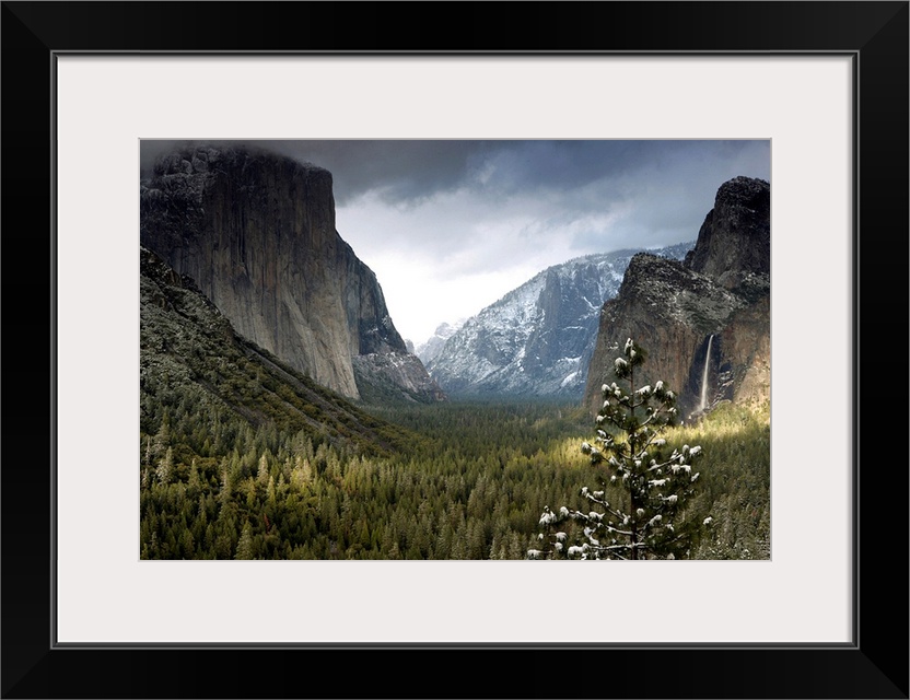Huge photograph displays a wide open valley within a national park in California densely covered with trees running betwee...