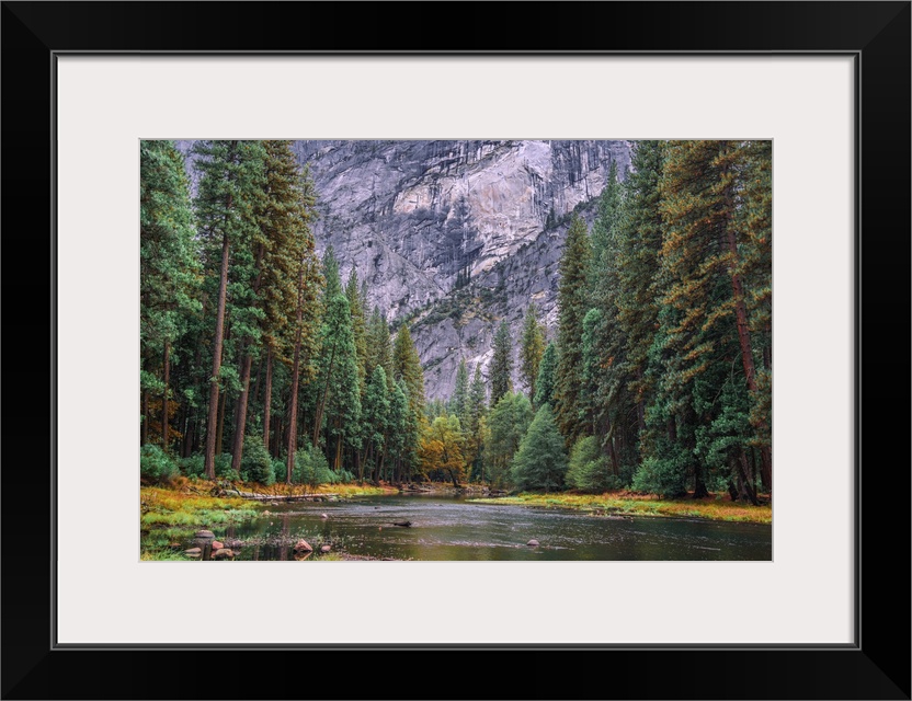The beautiful Merced River flowing in Yosemite National Park framed by converging fall and evergreen trees with a backdrop...