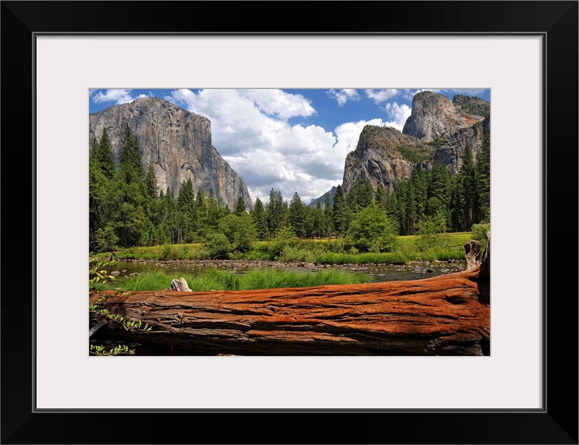 Giant photograph of Yosemite Valley on a sunny day with a fallen tree trunk and pond in the foreground with an evergreen f...