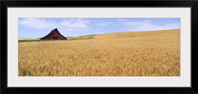 Abandoned barn nr Moscow ID