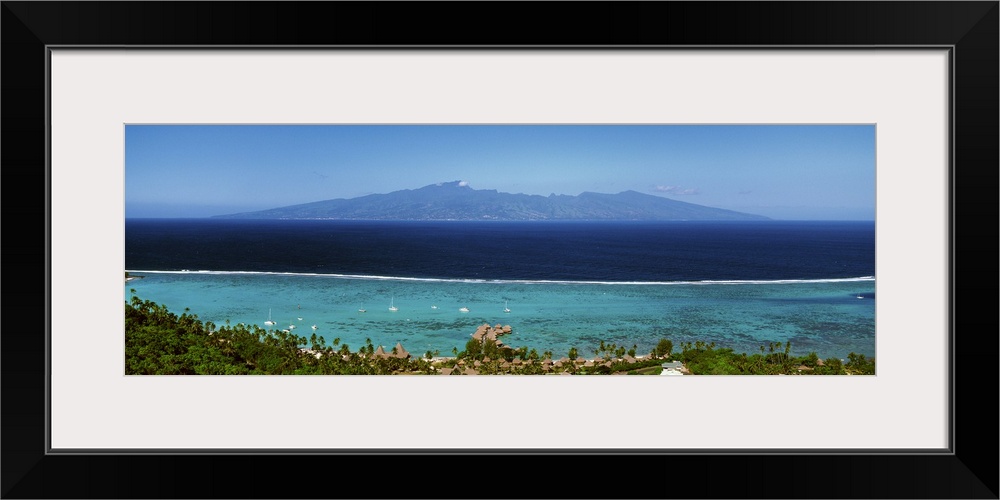 Aerial view of trees along a coast, Tahiti, French Polynesia