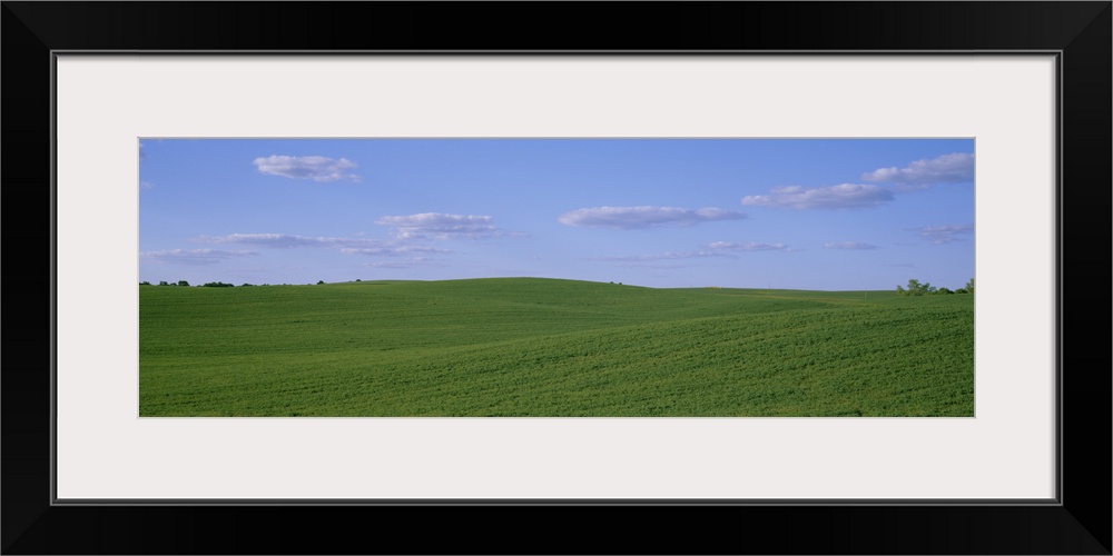 Alfalfa Field Day County SD