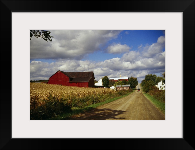 Photograph of wheat field, barn and farmhouses along dirt road under a cloudy sky.