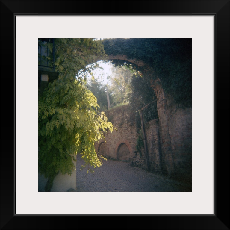 Big canvas print of an old Italian street with vines growing on the bricks.