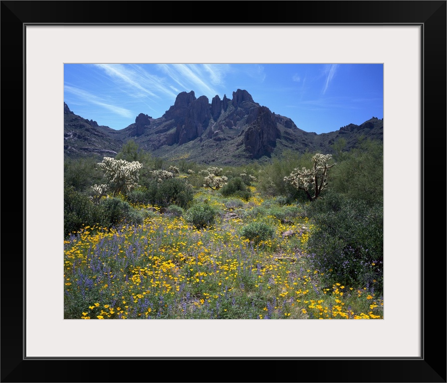 This is a nearly square landscape photograph of a desert meadow filled with flowers, and a unique rock formation in the ba...