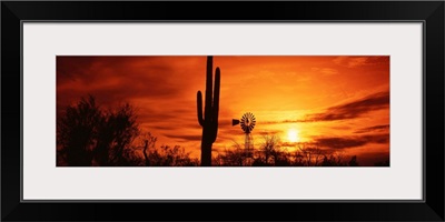 Arizona, Sonoran Desert, sunset