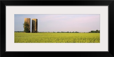 Arkansas, View of grain silos in a field