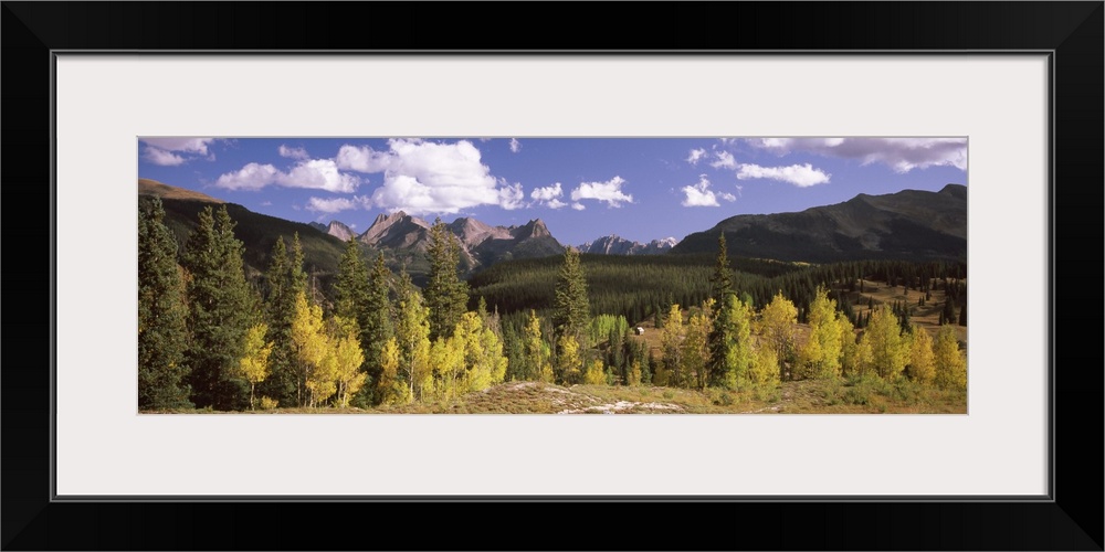 Colorado Aspens, Colorado