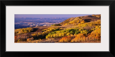 Aspens Dixie National Forest UT