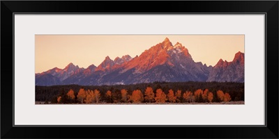 Aspens Teton Range Grand Teton National Park WY