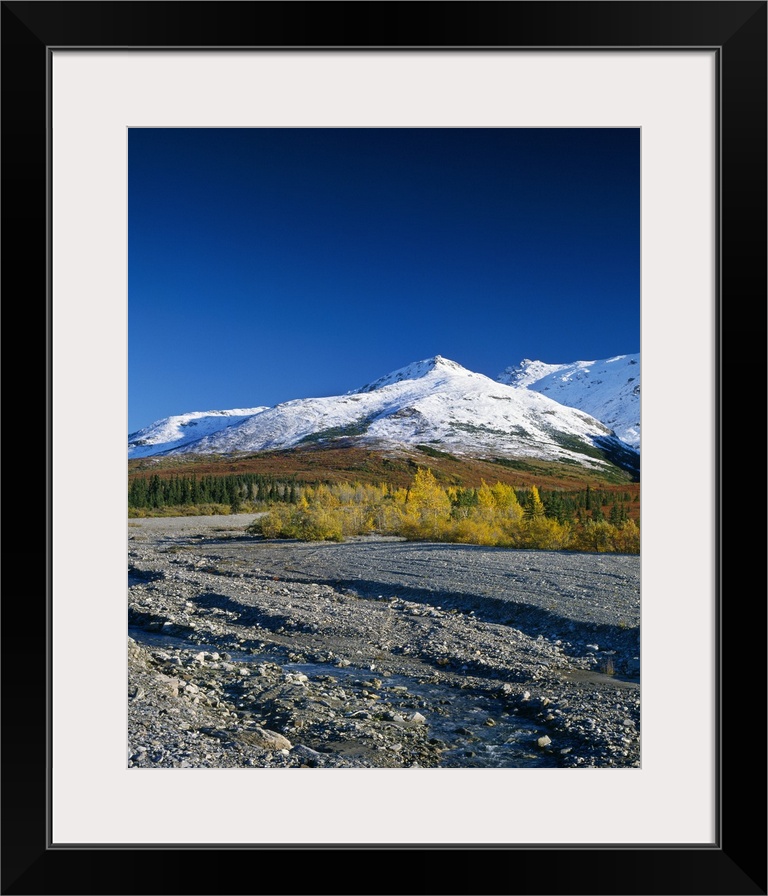 Autumn color foliage along rocky river bed, snowy foothills, Denali National Park, Alaska