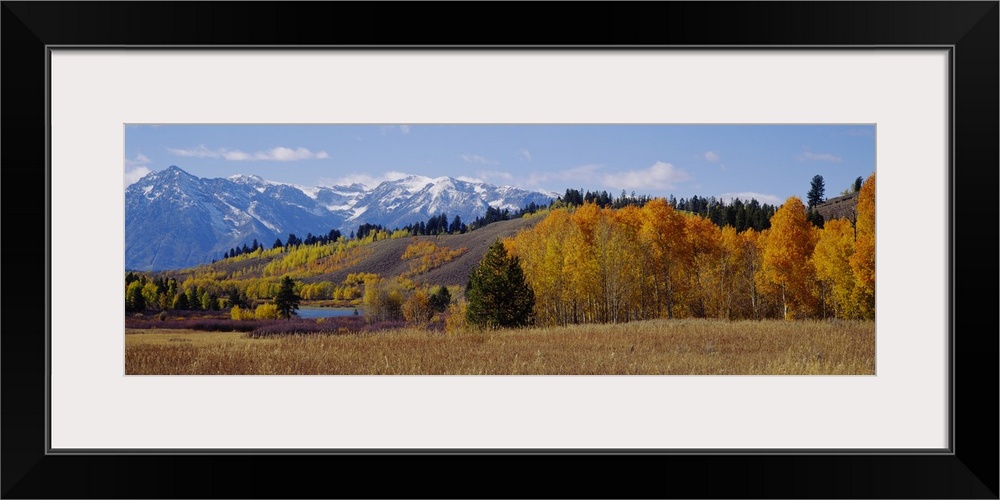 Autumn Grand Teton National Park WY