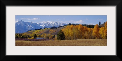 Autumn Grand Teton National Park WY