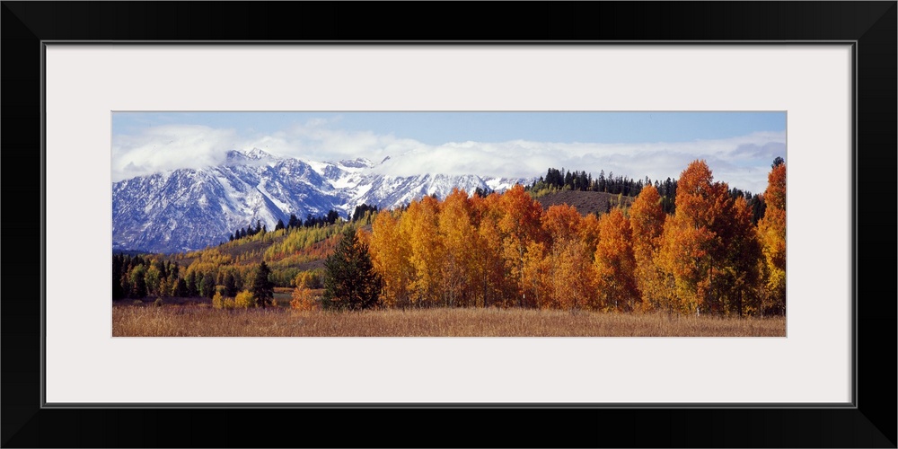 Autumn Grand Teton National Park WY