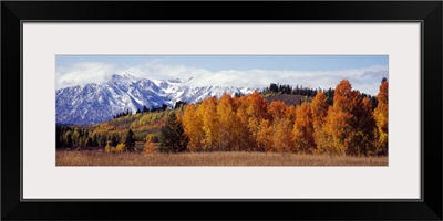 Autumn Grand Teton National Park WY