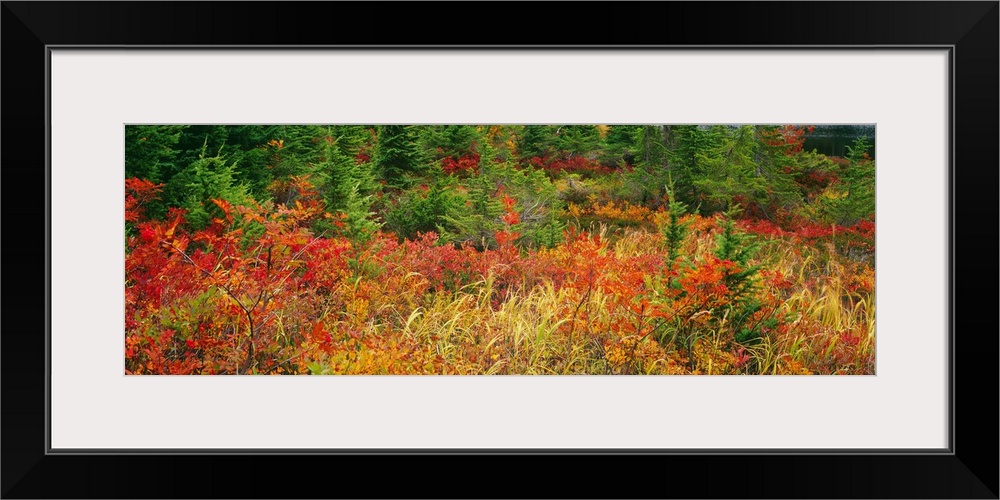 Autumn Snoqualmie National Forest WA