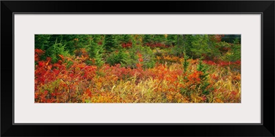 Autumn Snoqualmie National Forest WA