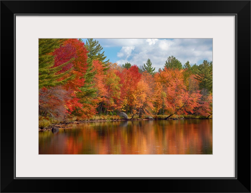 Autumn trees at riverbank, Oswegatchie River, Adirondack Mountains State Park, New York State, USA