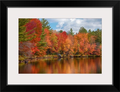 Autumn trees at Oswegatchie River, Adirondack Mountains State Park, New York