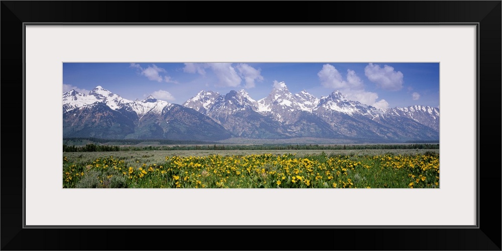 Long horizontal photo on canvas of rugged snow covered mountains in the background of a field.