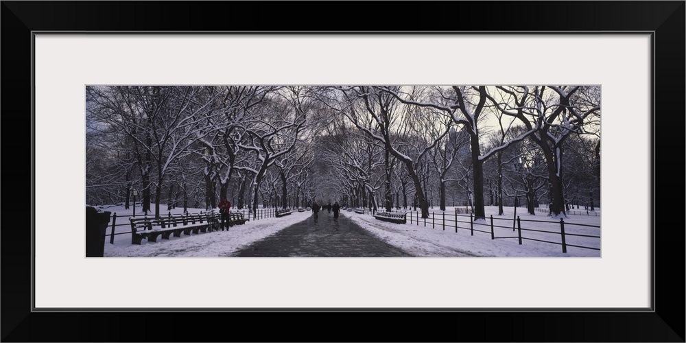 Panoramic view of a cold, snowy walkway through Manhattan central park in New York.