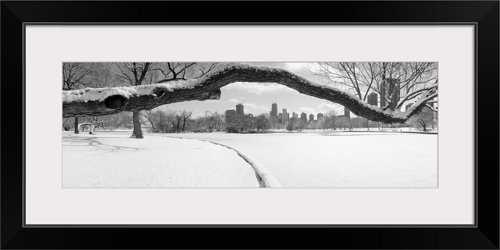 Large panoramic photograph of a snow covered tree branch close up with snow on the ground and the Chicago skyline in the b...