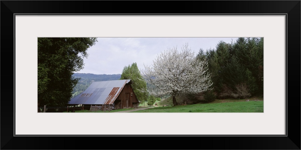 Barn Humboldt Co Kneeland CA