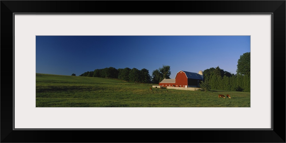 Barn in a field, Kent County, Michigan