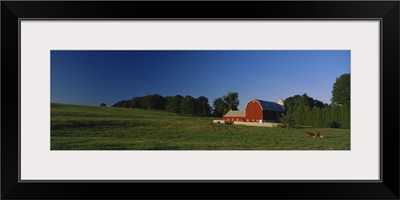 Barn in a field, Kent County, Michigan