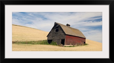 Barn in a wheat field, Colfax, Whitman County, Washington State