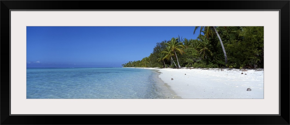 Panoramic photograph of clear blue waters over the atoll near Beach Tetiaroa in Tahiti.  The beach is lined with swaying p...