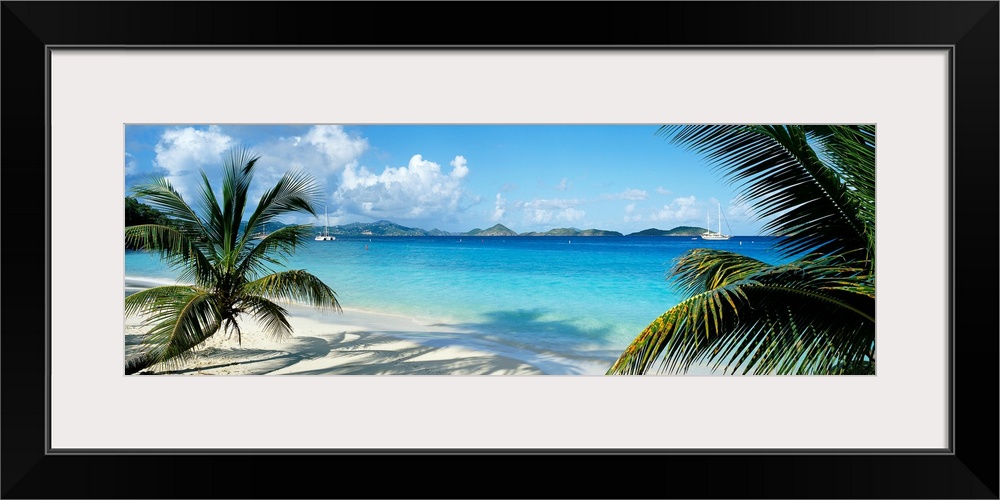 Wide panoramic photograph of windswept trees on a tropical beach with sail boats in the harbor.