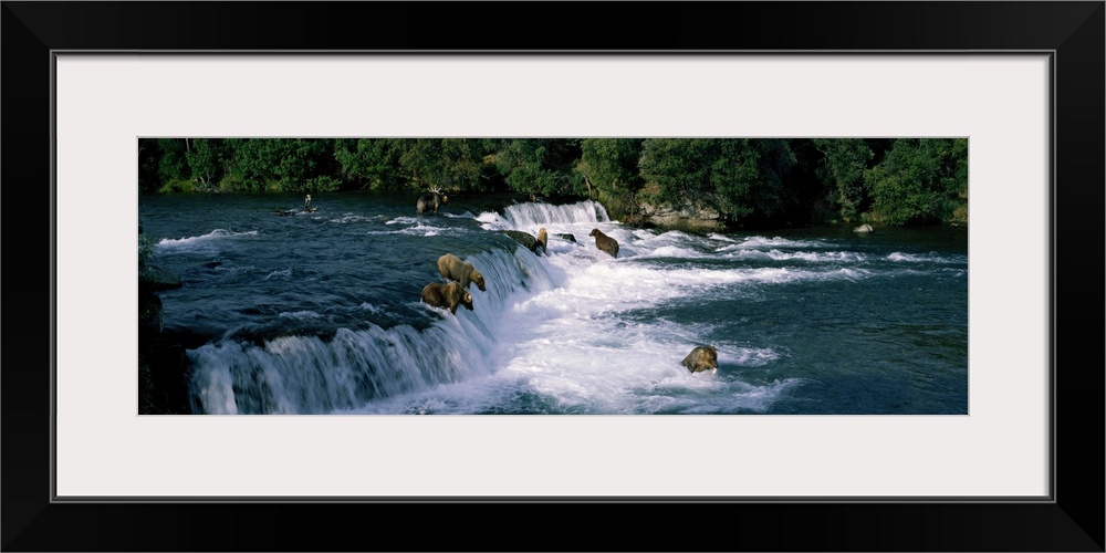 This large panoramic piece shows bears fishing in water and some about to jump down a small waterfall. Trees line the back...