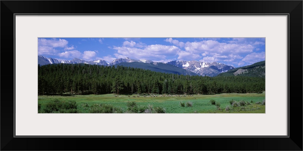 Beaver Meadows Rocky Mountain National Park CO