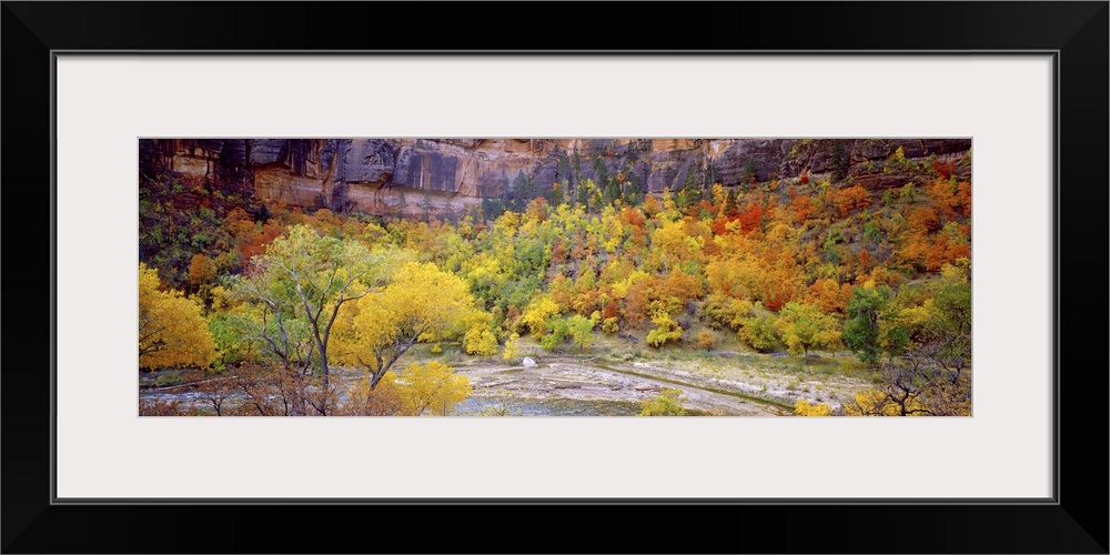 Big Bend in fall, Zion National Park, Utah