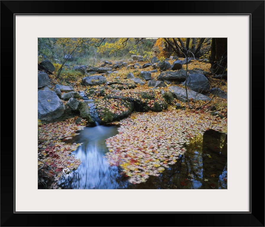 Autumn colored leaves lay on the surface of water and the rocks that surround it.