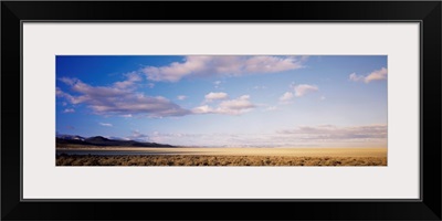 Black Rock Desert NV