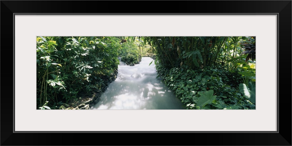 Blue Hole Gardens River, Tropical Foliage, Negril, Jamaica