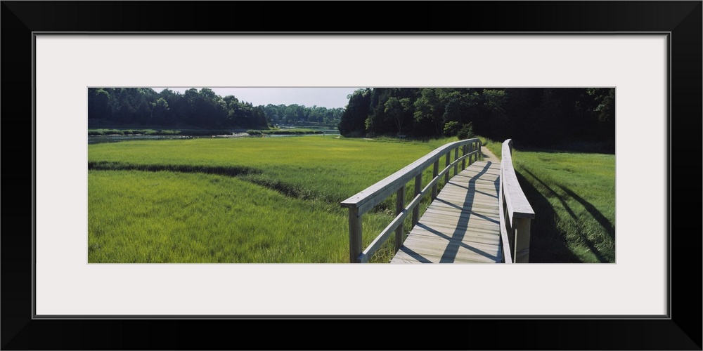 Boardwalk in a field, Nauset Marsh, Cape Cod, Massachusetts