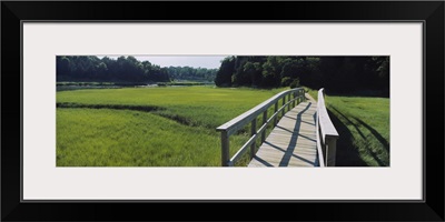 Boardwalk in a field, Nauset Marsh, Cape Cod, Massachusetts