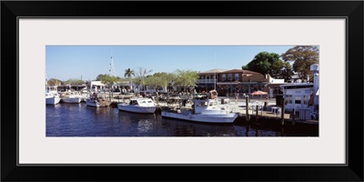 Boats moored at a harbor Tarpon Springs Pinellas County Florida