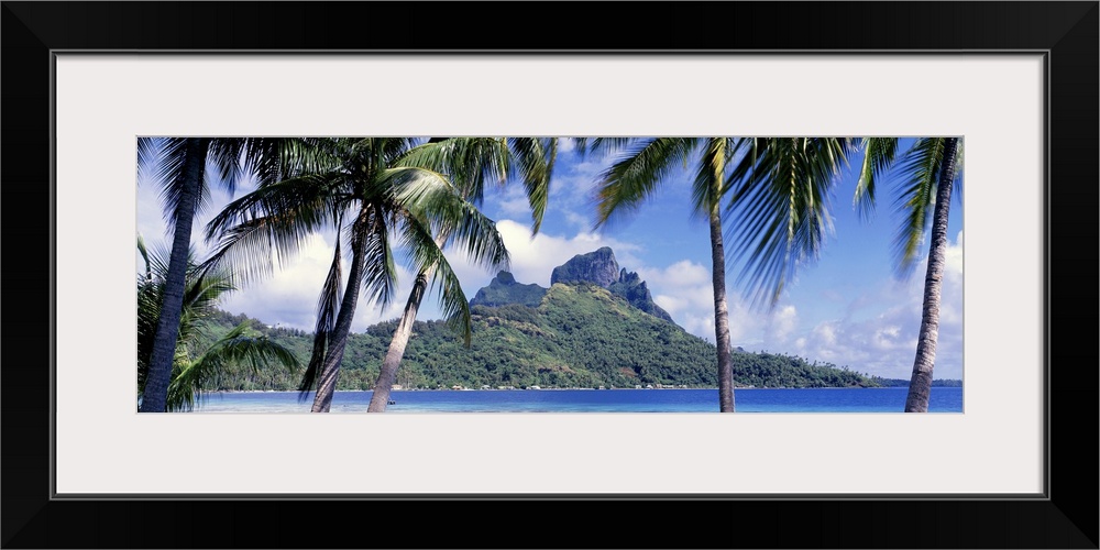 Oversized, landscape photograph of palm trees swaying over the island of Bora Bora, in the distance, past blue waters is a...